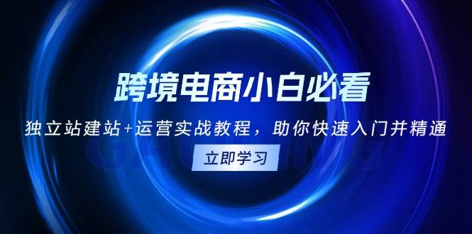 （13503期）跨境电商小白必看！独立站建站+运营实战教程，助你快速入门并精通-靠谱项目库