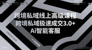 跨境私域线上高级课程，跨境私域极速成交3.0+Ai智能客服-靠谱项目库