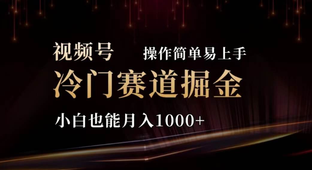 （11378期）2024视频号冷门赛道掘金，操作简单轻松上手，小白也能月入1000+-靠谱项目库