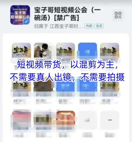 宝子哥头部团队短视频带货，以混剪为主，不需要真人出镜，不需要拍摄-靠谱项目库