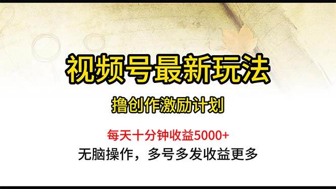 （10591期）视频号最新玩法，每日一小时月入5000+-靠谱项目库