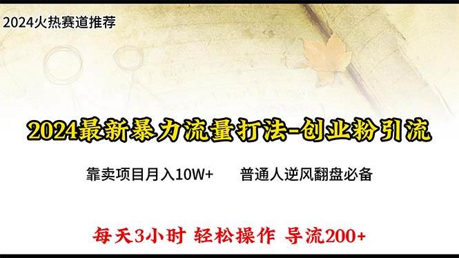 （10151期）2024年最新暴力流量打法，每日导入300+，靠卖项目月入10W+-靠谱项目库