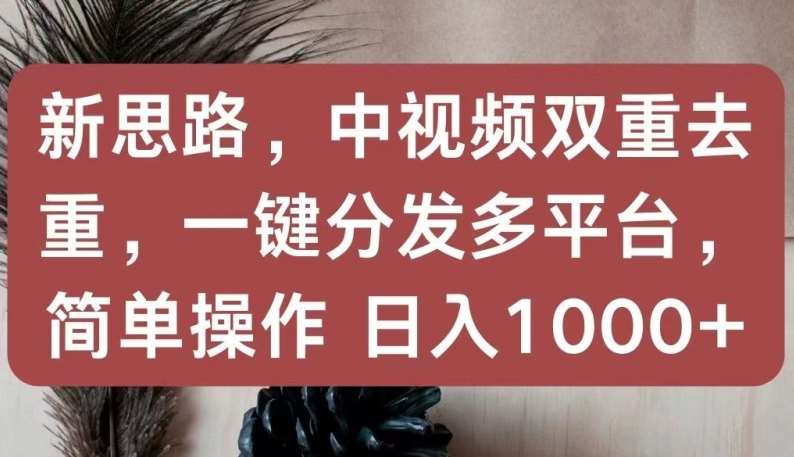 新思路，中视频双重去重，一键分发多平台，简单操作，日入1000+【揭秘】-靠谱项目库