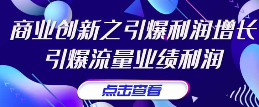 《商业创新之引爆利润增长》引爆流量业绩利润-靠谱项目库