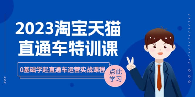 2023淘宝·天猫直通车评特训课，0基础学起直通车运营实战课程（8节课时）-靠谱项目库