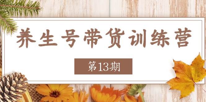 养生号带货训练营【第13期】收益更稳定的玩法，让你带货收益爆炸-靠谱项目库