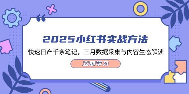 2025小红书实战方法，快速日产千条笔记，三月数据采集与内容生态解读-靠谱项目库