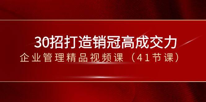 （8477期）30招-打造销冠高成交力-企业管理精品视频课（41节课）-靠谱项目库