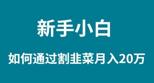（9308期）新手小白如何通过割韭菜月入 20W-靠谱项目库