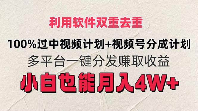 （11862期）利用软件双重去重，100%过中视频+视频号分成计划小白也可以月入4W+-靠谱项目库