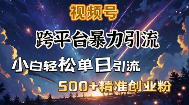 跨平台暴力引流，私域完美闭环，日引500+精准创业粉-靠谱项目库