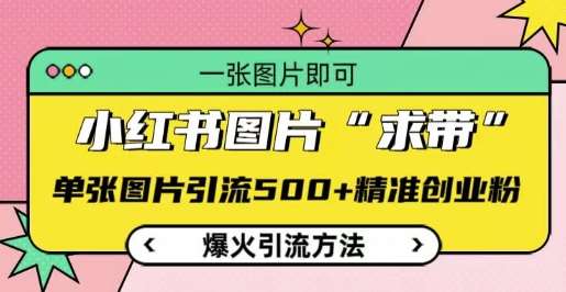 小红书图片‘求带’爆火引流法，单张图片引流500+精准创业粉【揭秘】-靠谱项目库
