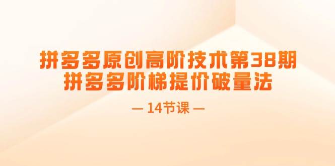 （11704期）拼多多原创高阶技术第38期，拼多多阶梯提价破量法（14节课）-靠谱项目库