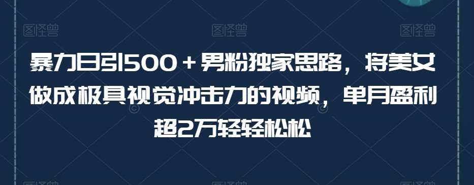 暴力日引500＋男粉独家思路，将美女做成极具视觉冲击力的视频，单月盈利超2万轻轻松松-靠谱项目库