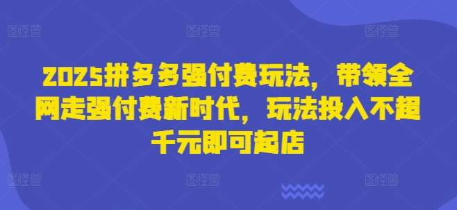 2025拼多多强付费玩法，带领全网走强付费新时代，玩法投入不超千元即可起店-靠谱项目库