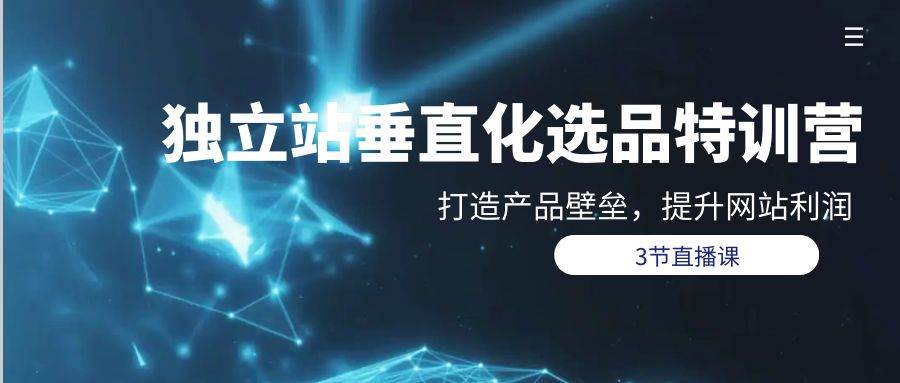 （9925期）独立站-垂直化选品训练营，打造产品壁垒，提升网站利润（3节直播课）-靠谱项目库