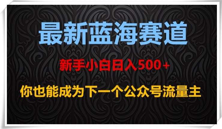 最新蓝海赛道，新手小白日入500+，你也能成为下一个公众号流量主【揭秘】-靠谱项目库