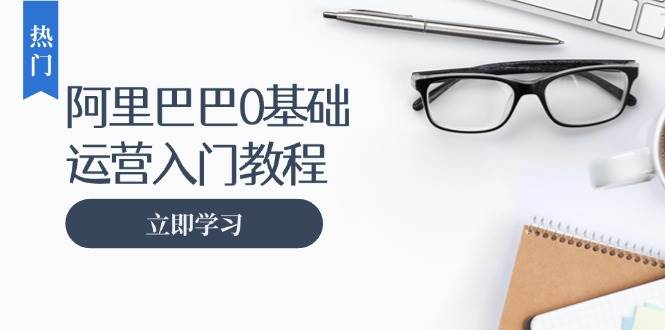 （13291期）阿里巴巴运营零基础入门教程：涵盖开店、运营、推广，快速成为电商高手-靠谱项目库