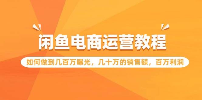 （9560期）闲鱼电商运营教程：如何做到几百万曝光，几十万的销售额，百万利润-靠谱项目库