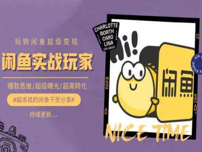 手把手教你0到1系统玩转闲鱼变现，爆款思维/超级曝光/超高转化-靠谱项目库
