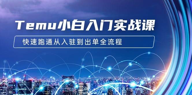 Temu小白入门实战课：跨境拼多多电商培训 快速跑通从入驻到出单全流程-12节-靠谱项目库