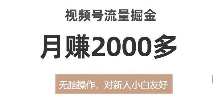 视频号流量掘金，无脑操作，对新人小白友好，月赚2000多【揭秘】-靠谱项目库
