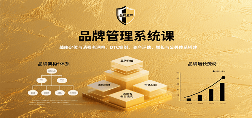 品牌管理系统课：战略定位与消费者洞察，DTC案例、资产评估，增长与公关体系搭建-靠谱项目库
