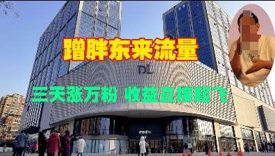 蹭胖东来流量，三天涨万粉，收益直接起飞-靠谱项目库