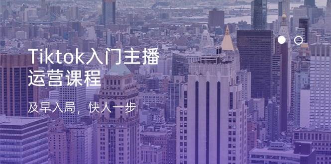 Tiktok入门主播运营课程，及早入局，快人一步（11节）-靠谱项目库