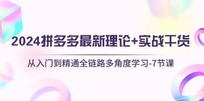 （10816期）2024拼多多 最新理论+实战干货，从入门到精通全链路多角度学习-7节课-靠谱项目库