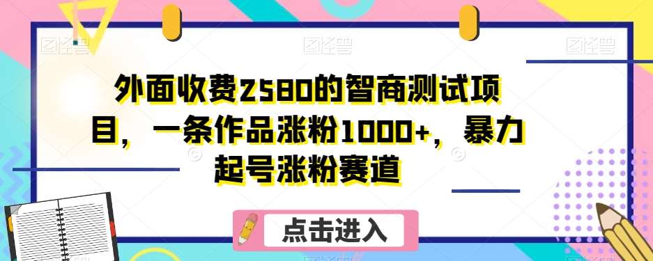 外面收费2580的智商测试项目，一条作品涨粉1000+，暴力起号涨粉赛道【揭秘】-靠谱项目库
