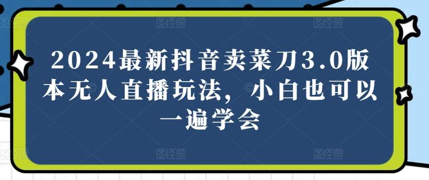 2024最新抖音卖菜刀3.0版本无人直播玩法，小白也可以一遍学会【揭秘】-靠谱项目库