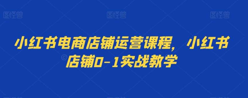 小红书电商店铺运营课程，小红书店铺0-1实战教学-靠谱项目库