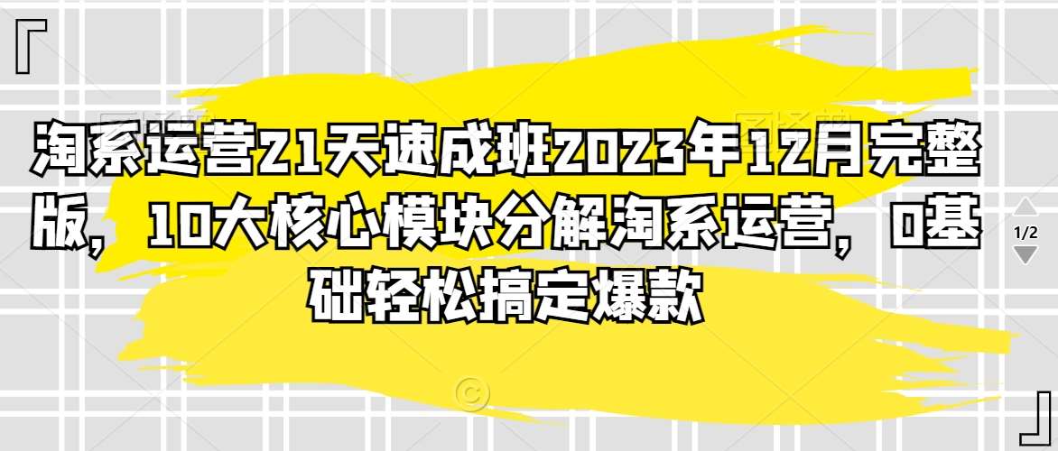 淘系运营21天速成班2023年12月完整版，10大核心模块分解淘系运营，0基础轻松搞定爆款-靠谱项目库
