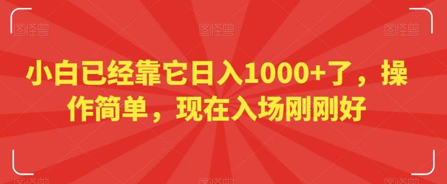 小白已经靠它日入1000+了，操作简单，现在入场刚刚好【揭秘】-靠谱项目库