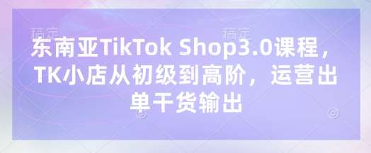 东南亚TikTok Shop3.0课程，TK小店​从初级到高阶，运营出单干货输出-靠谱项目库