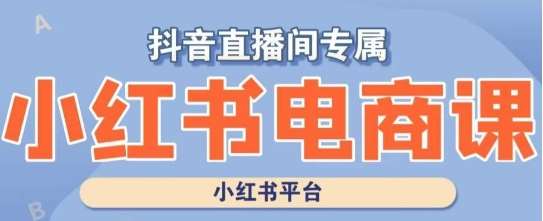 小红书电商高级运营课程，实操教学+案例分析-靠谱项目库