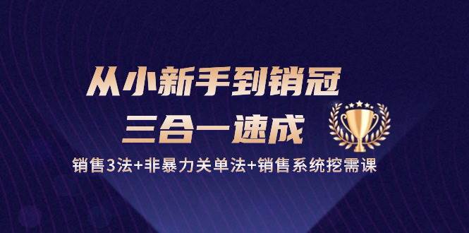 （10799期）从小新手到销冠 三合一速成：销售3法+非暴力关单法+销售系统挖需课 (27节)-靠谱项目库