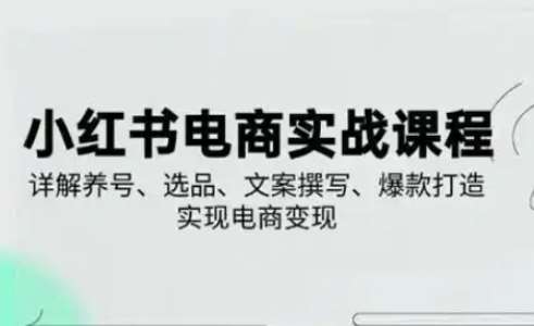 小红书从0-1实操课(2023-2025)，详解养号、选品、文案撰写、爆款打造实现电商变现-靠谱项目库