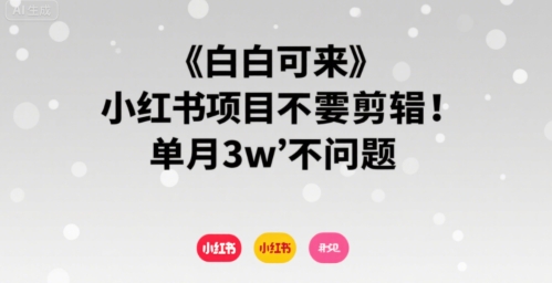 小白可来 小红书项目不需要剪辑 单月3w不是问题-靠谱项目库