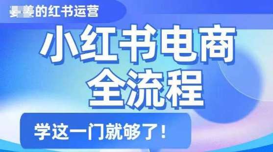 小红书电商全流程，精简易懂，从入门到精通，学这一门就够了-靠谱项目库