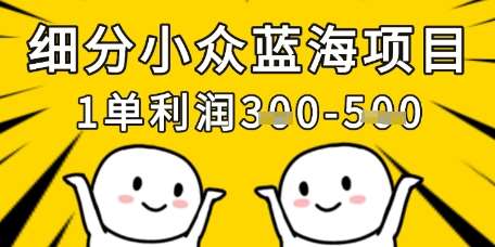 细分小众蓝海项目，一单利润3张，每月收入稳定过1w+-靠谱项目库