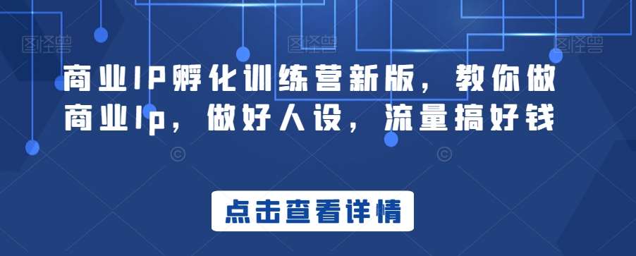 商业IP孵化训练营新版，教你做商业Ip，做好人设，流量搞好钱-靠谱项目库