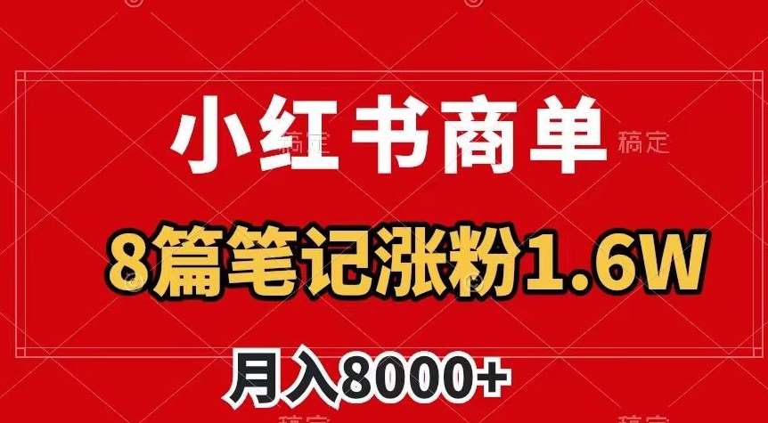 小红书商单最新玩法，8篇笔记涨粉1.6w，作品制作简单，月入8000+【揭秘】-靠谱项目库
