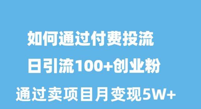 （10189期）如何通过付费投流日引流100+创业粉月变现5W+-靠谱项目库