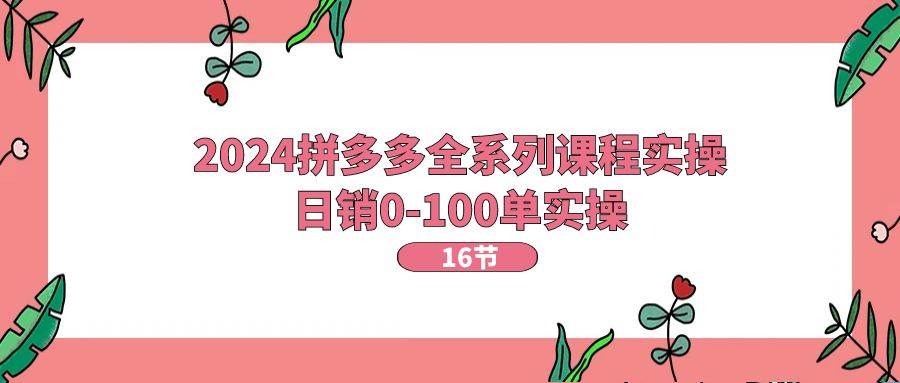 （11222期）2024拼多多全系列课程实操，日销0-100单实操【16节课】-靠谱项目库