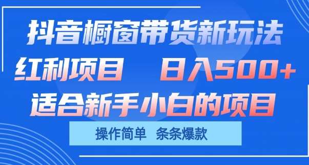 抖音橱窗带货新玩法，单日收益几张，操作简单，条条爆款【揭秘】-靠谱项目库