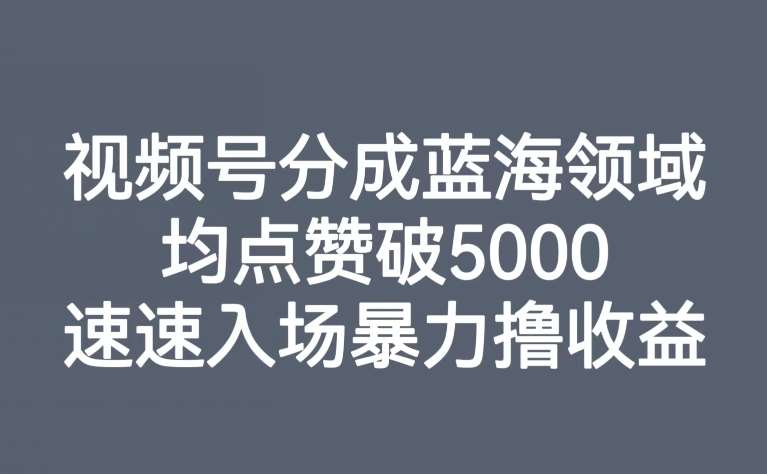 视频号分成蓝海领域，均点赞破5000，速速入场暴力撸收益-靠谱项目库