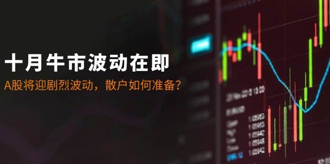 （12895期）十月牛市波动在即：A股将迎剧烈波动，散户如何准备？-靠谱项目库