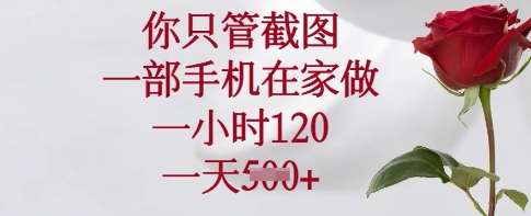 你只管截图，一部手机在家做，一小时120.一天5张【揭秘】-靠谱项目库